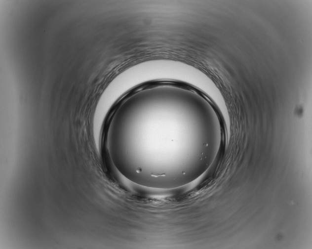 X0000099460229200805091536