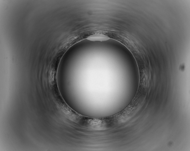 X0000099460230200805091536