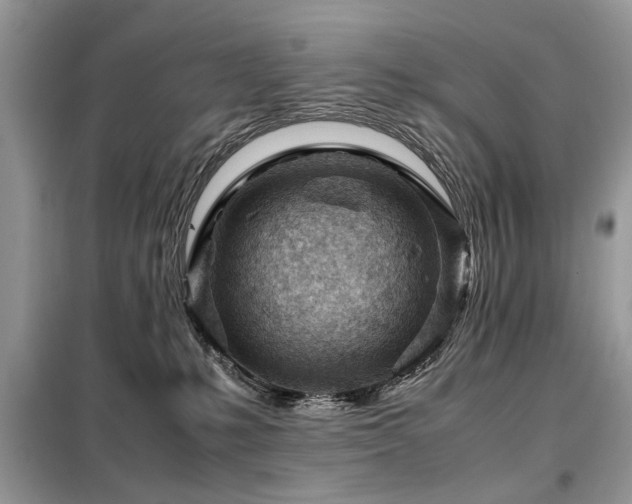 X0000099460231200805091536