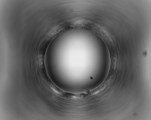 X0000099460232200805091536