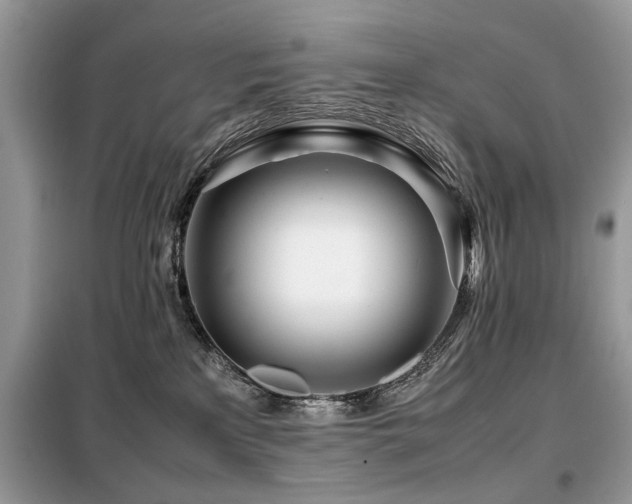 X0000099460233200805091536