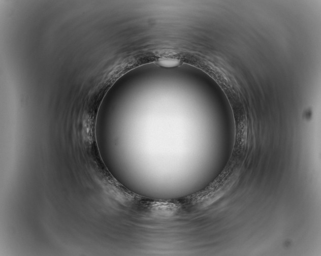 X0000099460234200805091536