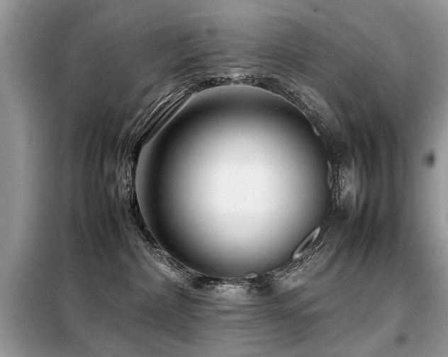 X0000099460236200805091536