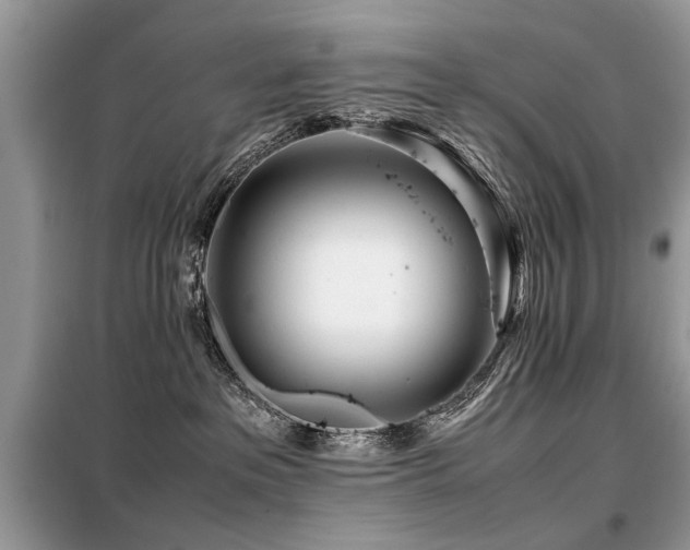 X0000099460237200805091536