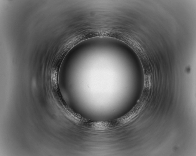 X0000099460238200805091536