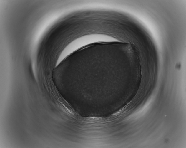 X0000099460239200805091536