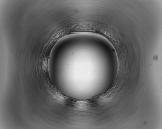 X0000099460240200805091536
