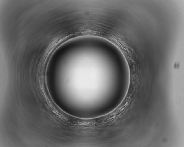 X0000099460241200805091535