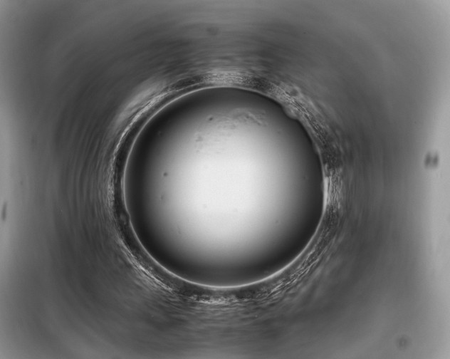 X0000099460243200805091535