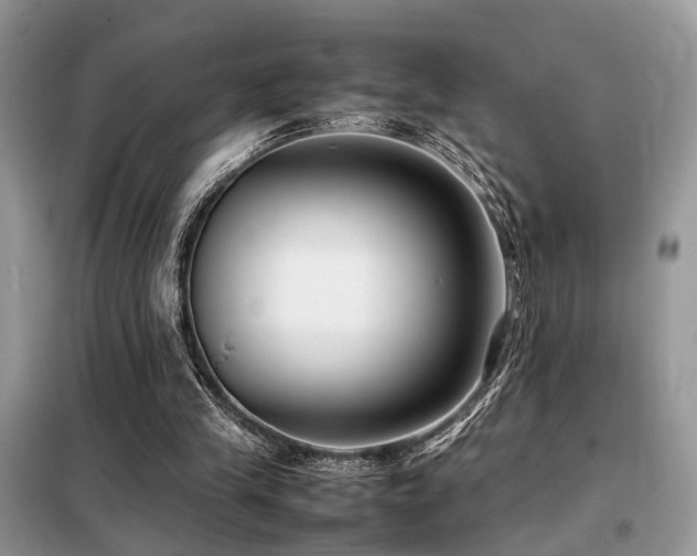 X0000099460245200805091535