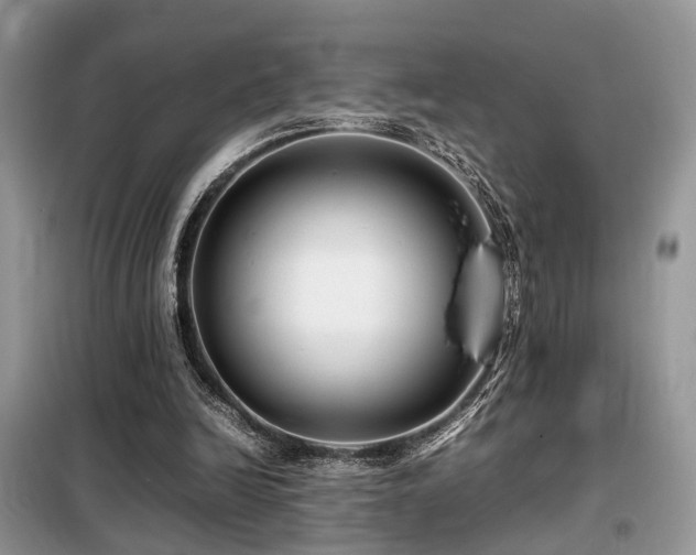 X0000099460246200805091535