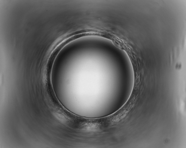 X0000099460247200805091535
