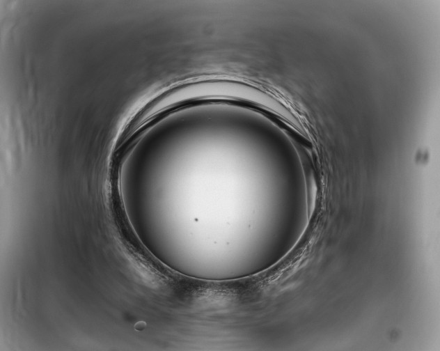 X0000099460248200805091535