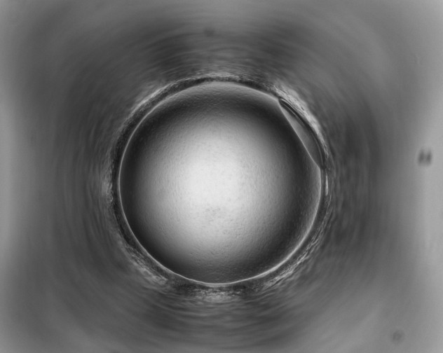 X0000099460249200805091535