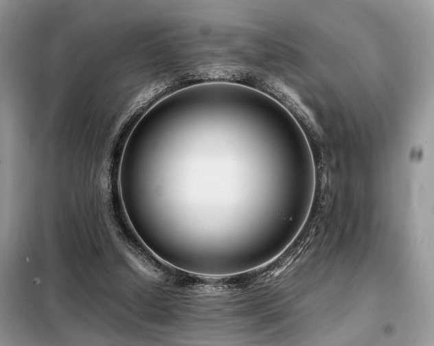 X0000099460250200805091535