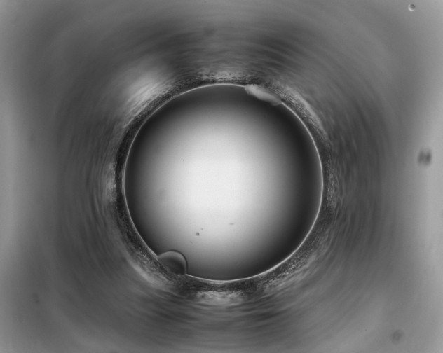 X0000099460251200805091536