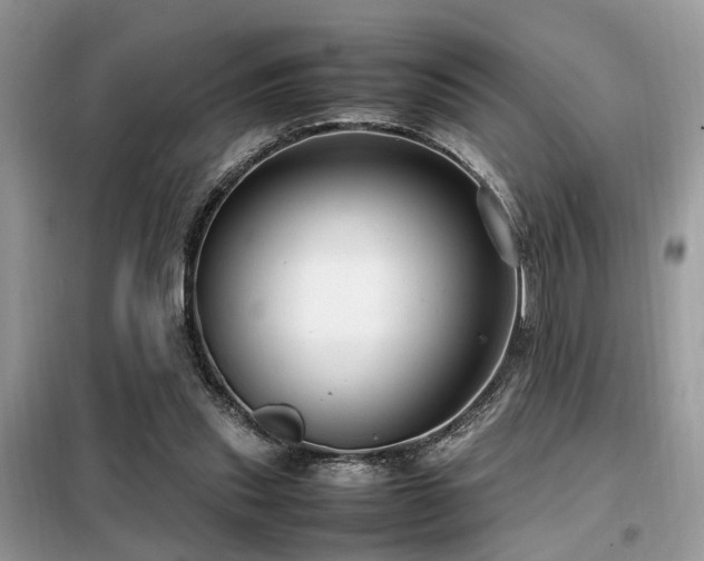 X0000099460253200805091536