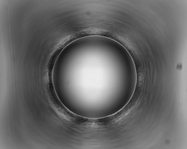 X0000099460254200805091536