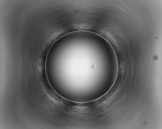 X0000099460255200805091536