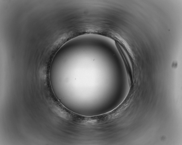 X0000099460257200805091536