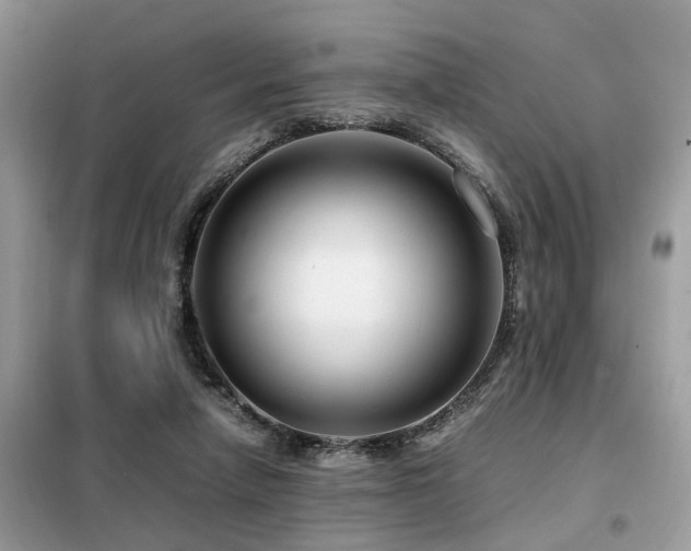 X0000099460258200805091536