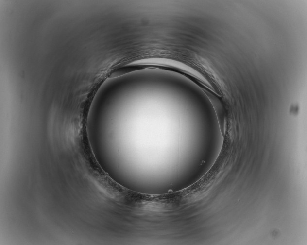 X0000099460259200805091536