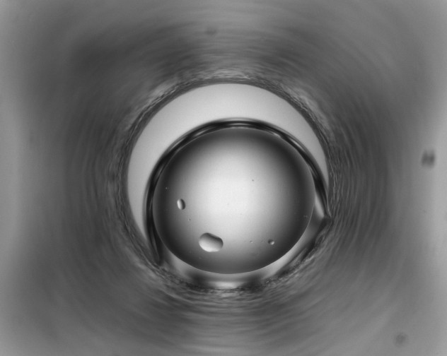 X0000099460260200805091536