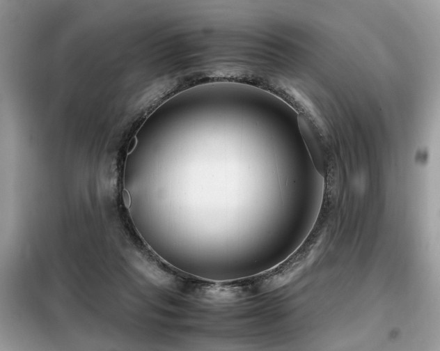 X0000099460261200805091536