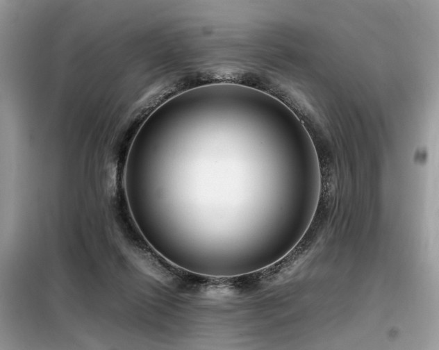 X0000099460262200805091536