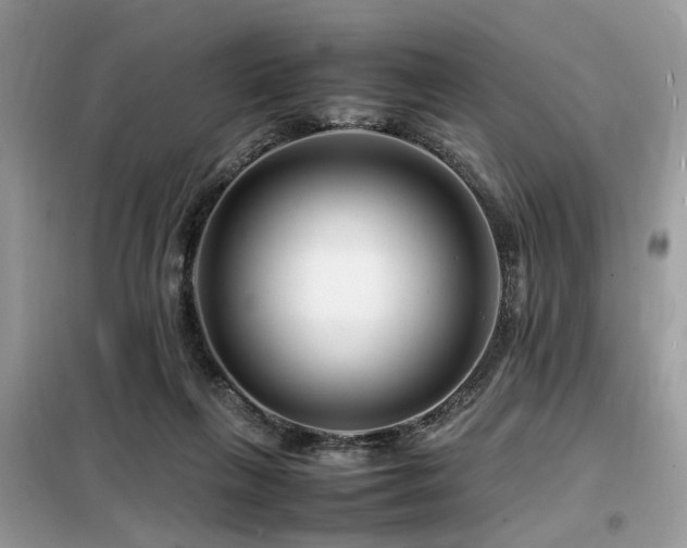 X0000099460263200805091536