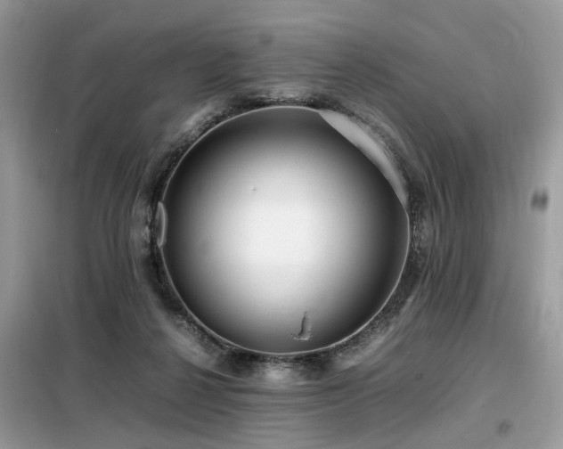 X0000099460264200805091536