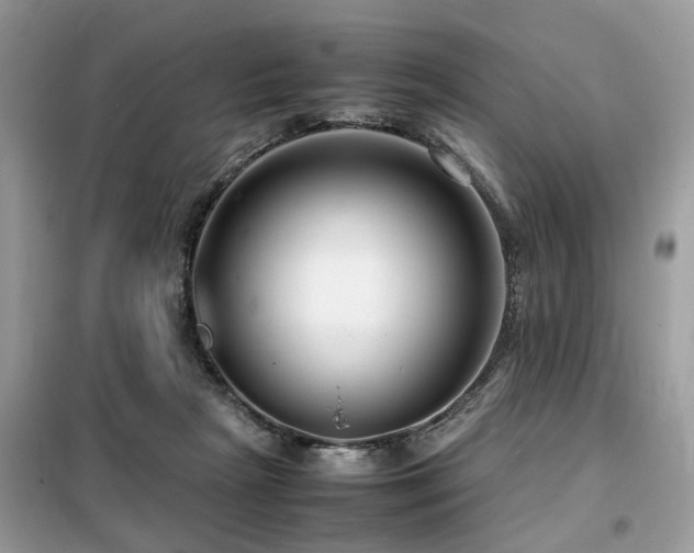 X0000099460265200805091536