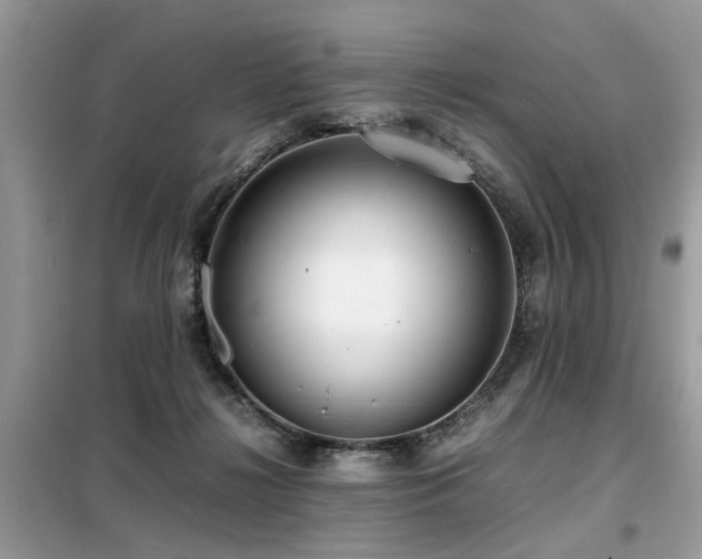 X0000099460268200805091536