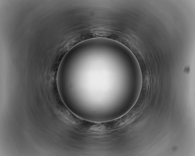 X0000099460271200805091536