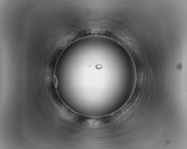 X0000099460272200805091536