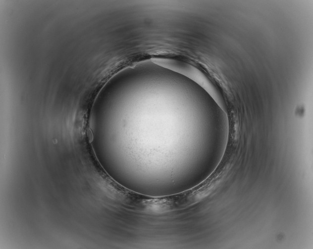 X0000099460273200805091536