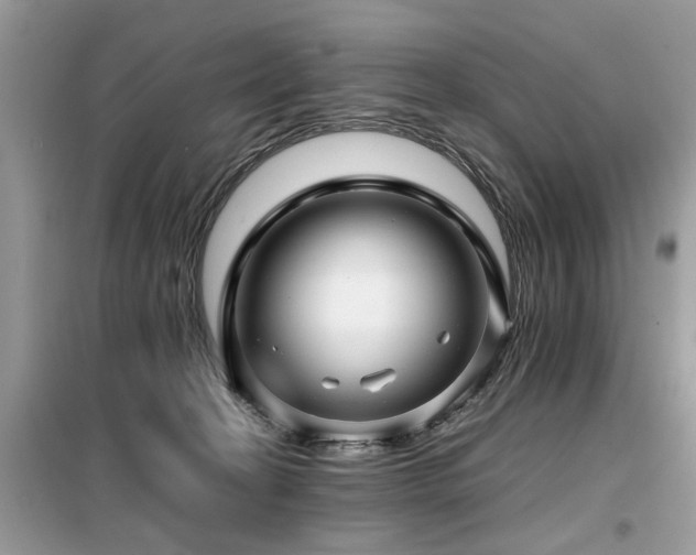 X0000099460274200805091536