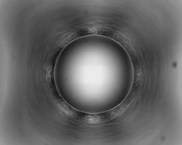 X0000099460275200805091536