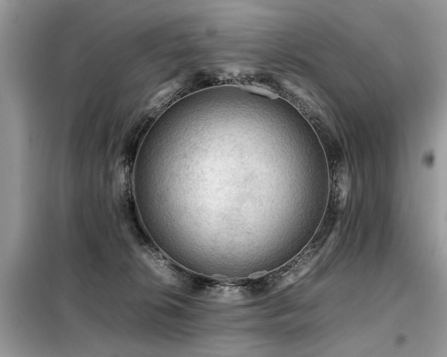 X0000099460276200805091536