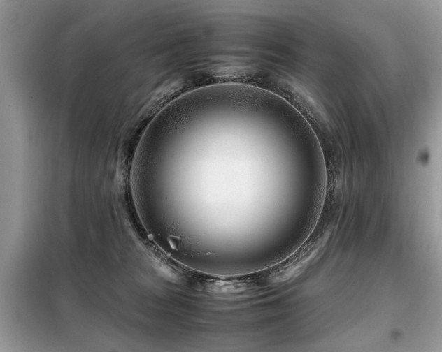 X0000099460277200805091536