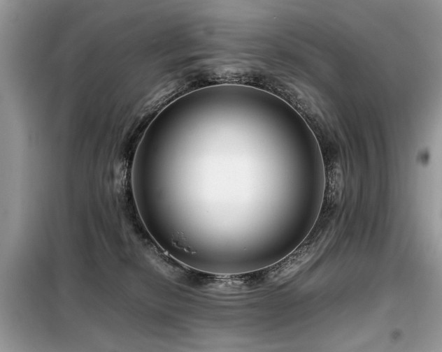 X0000099460278200805091536
