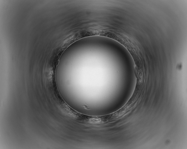 X0000099460279200805091536