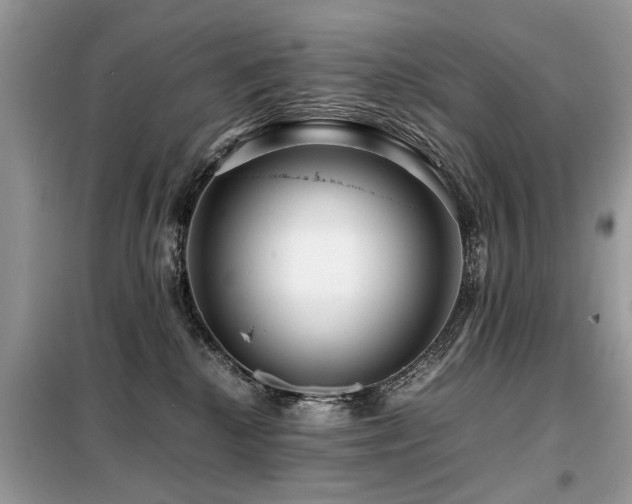 X0000099460280200805091536