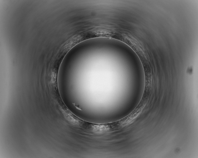 X0000099460281200805091536