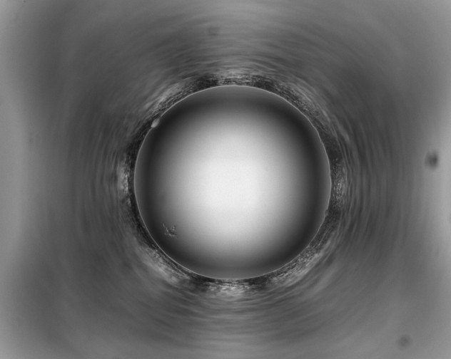 X0000099460282200805091536
