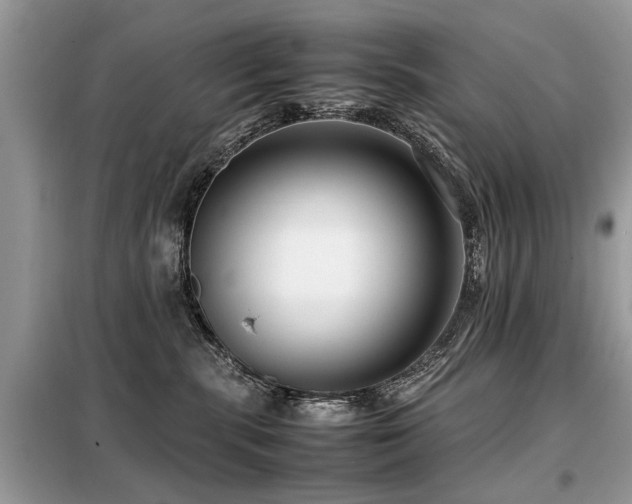 X0000099460283200805091536