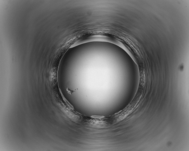 X0000099460284200805091536