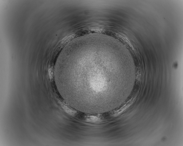 X0000099460285200805091536