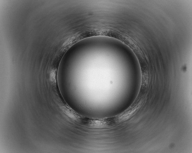 X0000099460286200805091536