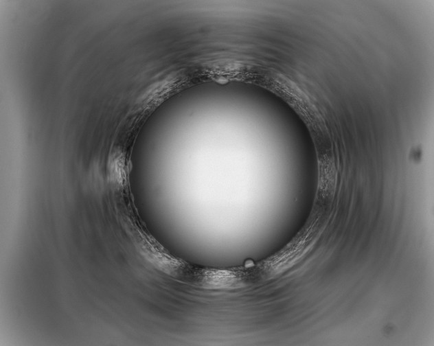 X0000099460287200805091536